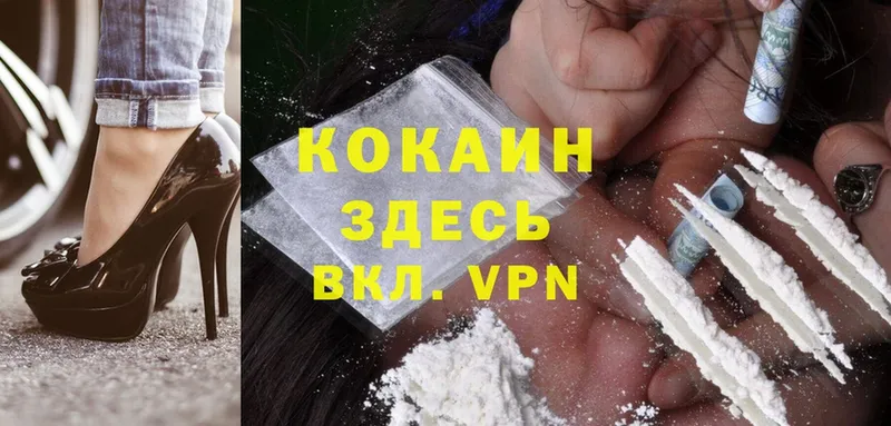 ссылка на мегу как войти  Тетюши  Cocaine Колумбийский  магазин продажи наркотиков 